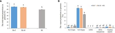 Genome-wide analysis of transposable elements and satellite DNA in Humulus scandens, a dioecious plant with XX/XY1Y2 chromosomes